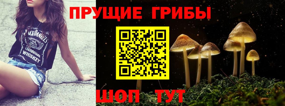 Псилоцибиновые грибы мицелий Белореченск