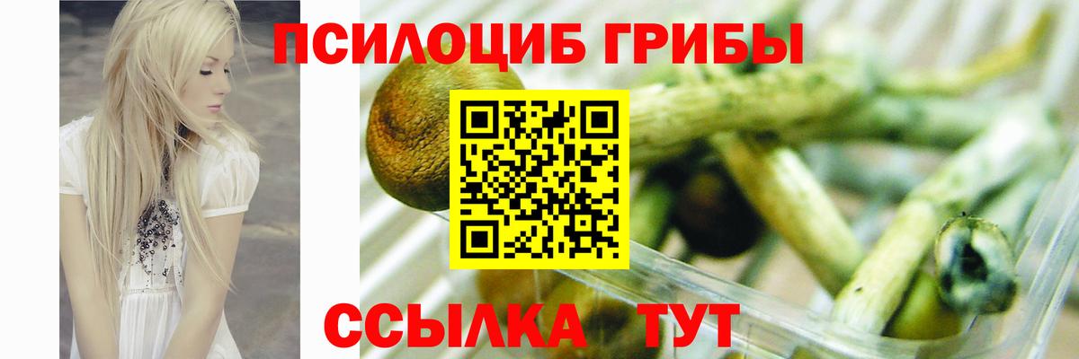 Галлюциногенные грибы Cubensis  Вход с VPN  Белореченск 
